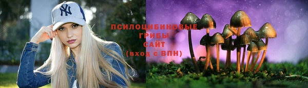 экстази Алексин