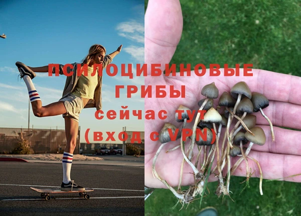 экстази Алексин