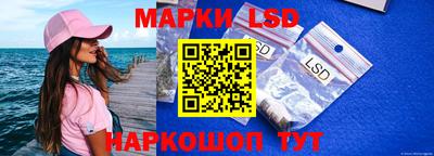 ешки Бийск