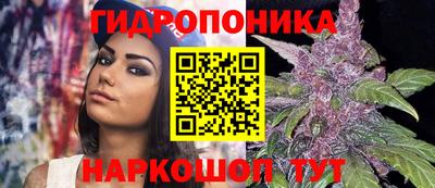 амф Берёзовский