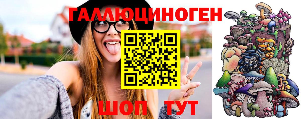 Дзержинский  Галлюциногенные грибы Cubensis  Вход с VPN 