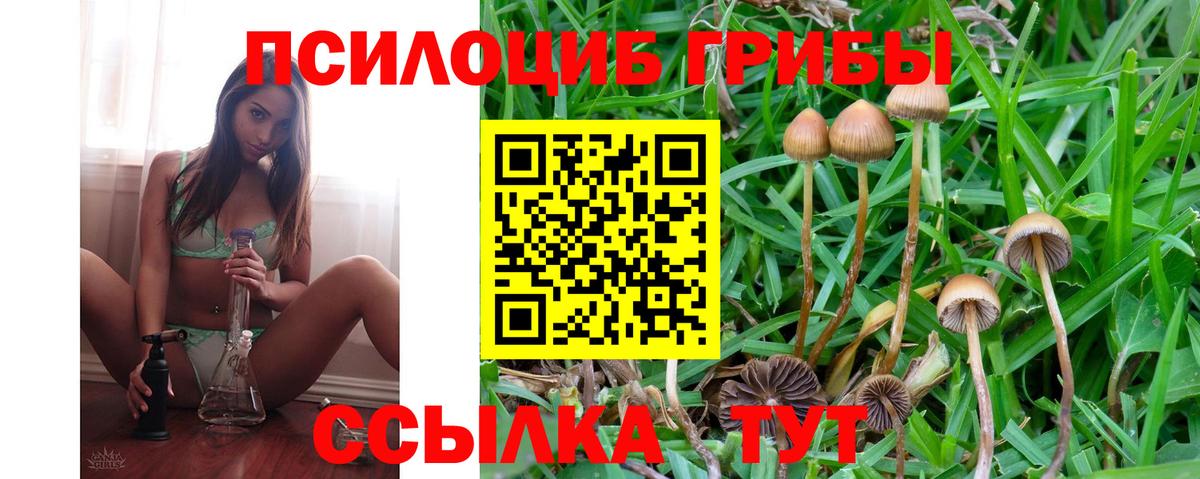 Псилоцибиновые грибы Psilocybe Дзержинский